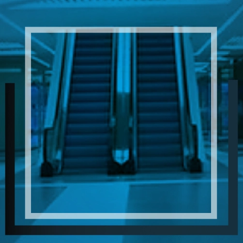 HOМOGENOUS portadas copy